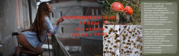 стафф Белокуриха