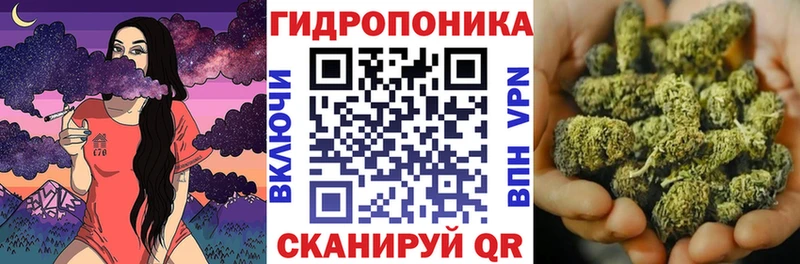 МАРИХУАНА ГИДРОПОН Болхов